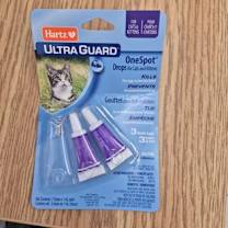 Thumbnail photo of Mary #2