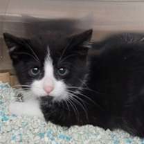 Thumbnail photo of Austyn #2