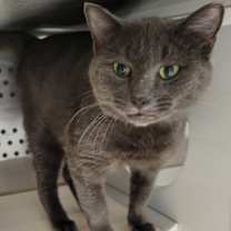 Thumbnail photo of Eeyore #2