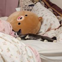 Thumbnail photo of Burton 4 #3