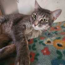 Thumbnail photo of Olivia #3