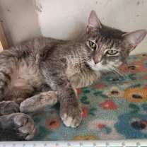 Thumbnail photo of Olivia #4