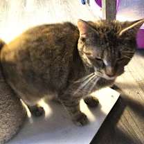 Thumbnail photo of Joanna #4