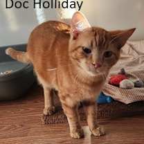 Thumbnail photo of Doc Holliday #1