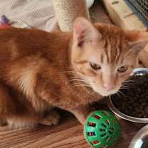 Thumbnail photo of Doc Holliday #3