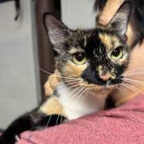 Thumbnail photo of Fruit Cocktail #2