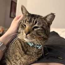 Thumbnail photo of Bully #3