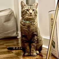 Thumbnail photo of Bully #4