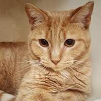 Thumbnail photo of Kara #2