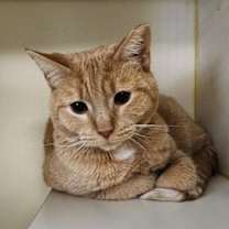 Thumbnail photo of Kara #3