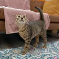 Thumbnail photo of Berlin #1