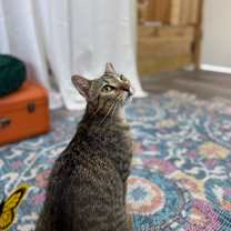 Thumbnail photo of Berlin #2