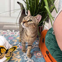 Thumbnail photo of Berlin #4