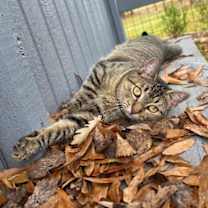 Thumbnail photo of Margarita Montes #2