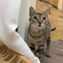 Thumbnail photo of Margarita Montes #3