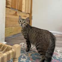 Thumbnail photo of Margarita Montes #4