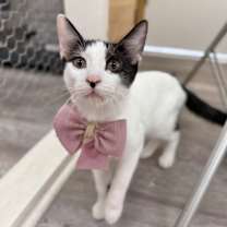 Thumbnail photo of Monty Alexsia #1