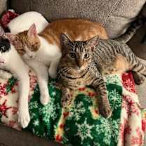 Thumbnail photo of Monty Alexsia #2