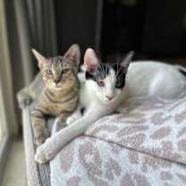 Thumbnail photo of Monty Alexsia #3