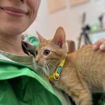 Thumbnail photo of Nico Hernandez #3