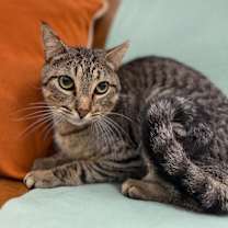 Thumbnail photo of Jill Simpson #1