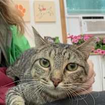 Thumbnail photo of Jill Simpson #4