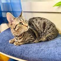 Thumbnail photo of Queens New York #1