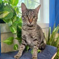 Thumbnail photo of Biscuit Butter #1