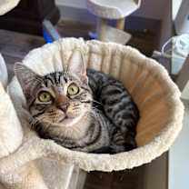 Thumbnail photo of Fishbait Jerny #1