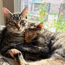 Thumbnail photo of Fishbait Jerny #3