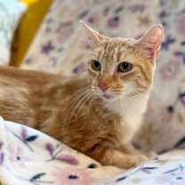 Thumbnail photo of Avril Taylor #1