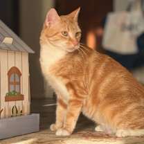 Thumbnail photo of Avril Taylor #3