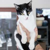 Thumbnail photo of Clara #2