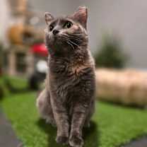 Thumbnail photo of Lavender Chavez #2