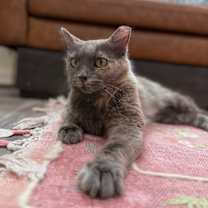 Thumbnail photo of Lavender Chavez #3