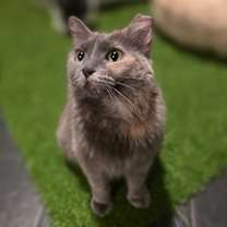 Thumbnail photo of Lavender Chavez #4