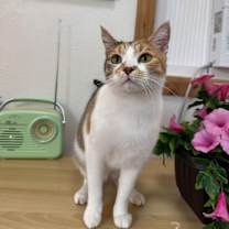 Thumbnail photo of Catalina Chavez #1