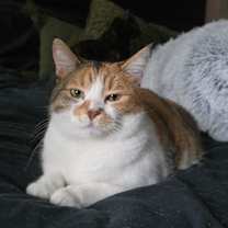 Thumbnail photo of Catalina Chavez #4