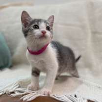 Thumbnail photo of Daisy River #2