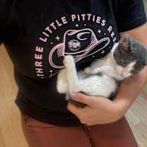 Thumbnail photo of Cashew C #2