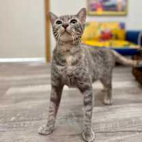 Thumbnail photo of Campbell Clark #1