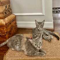 Thumbnail photo of Campbell Clark #3