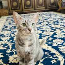 Thumbnail photo of Campbell Clark #4