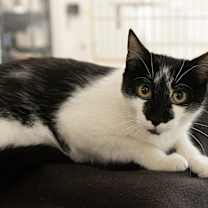 Thumbnail photo of Christine #2