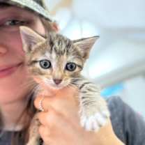 Thumbnail photo of Kiwi Sugar #2