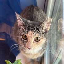 Thumbnail photo of Willow Taylor #1