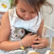 Thumbnail photo of Bear Wild #3