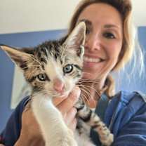 Thumbnail photo of King Shah #4