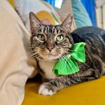 Thumbnail photo of Miami Barrera #1