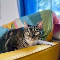 Thumbnail photo of Miami Barrera #4